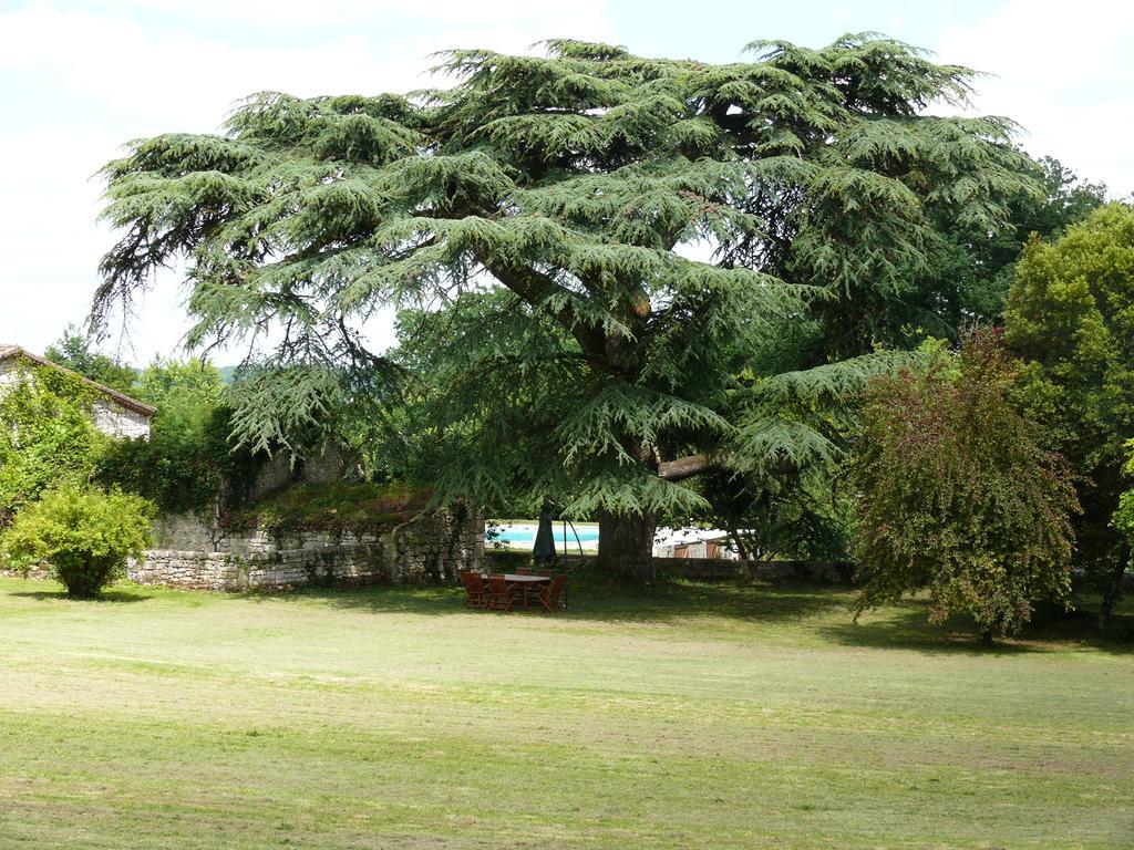 Domaine De Lamassas Bed and Breakfast Hautefage-la-Tour Exterior foto